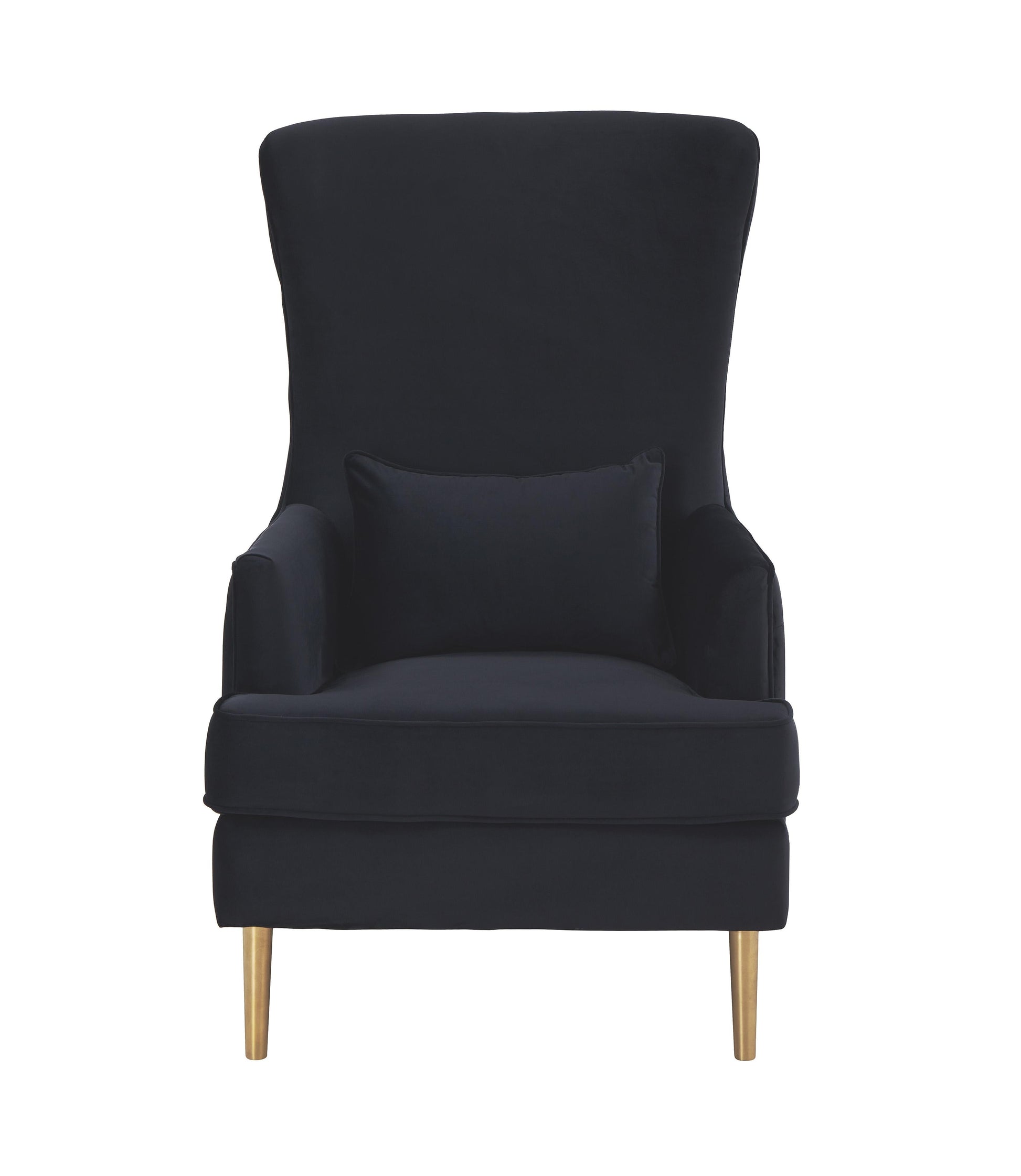 Alina Black Tall Tufted Back Chair by TOV