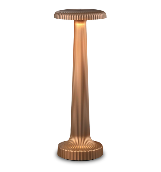Tall Poppy Cordless Table Lamp by Neoz